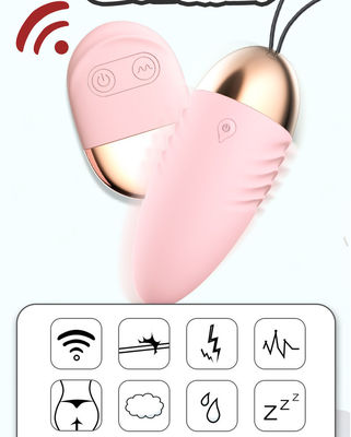 Huevo vibratorio Vibrator de sexo remoto 10 velocidades Control de bolas Vibrator inalámbrico para mujeres